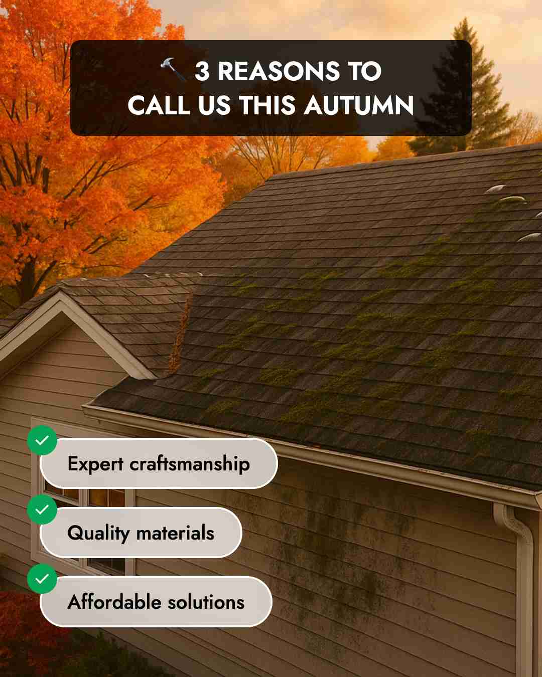 Seasonal Roofing Ad
